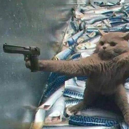 สมาชิกหมายเลข 5373638