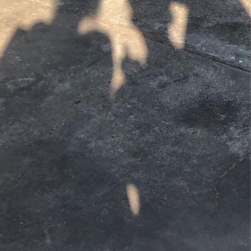 สมาชิกหมายเลข 6066233