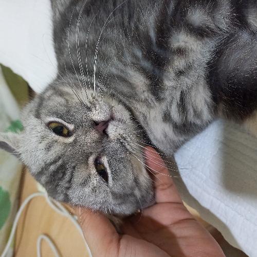 แค่อยากให้  คุณยิ้ม