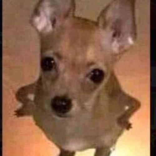 สมาชิกหมายเลข 5793949