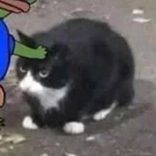 สมาชิกหมายเลข 7806052