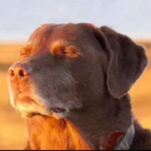 สมาชิกหมายเลข 8571426