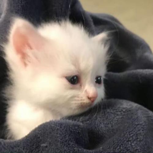 สมาชิกหมายเลข 9151489