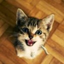 สมาชิกหมายเลข 3684504