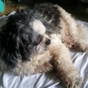 สมาชิกหมายเลข 2359650