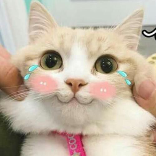 สมาชิกหมายเลข 4693120