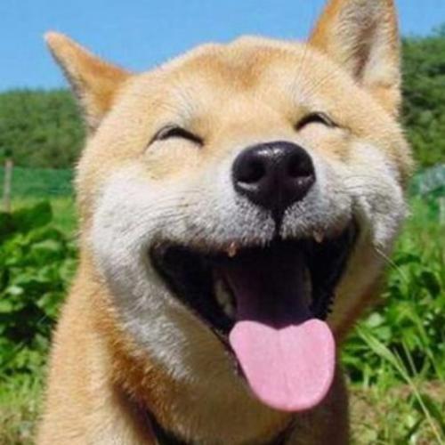 สมาชิกหมายเลข 5047158