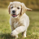 สมาชิกหมายเลข 1756931