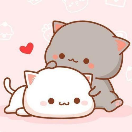 สมาชิกหมายเลข 5450881