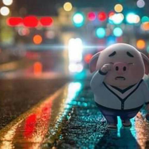 สมาชิกหมายเลข 5452841