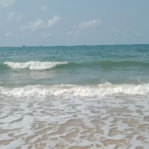 สมาชิกหมายเลข 5975433