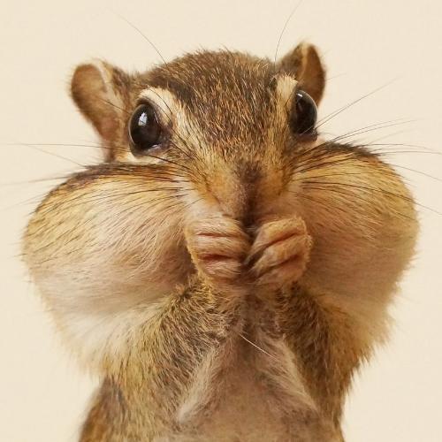 สมาชิกหมายเลข 6231070