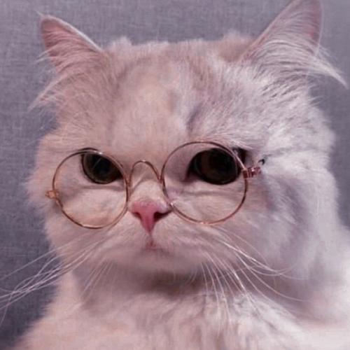 สมาชิกหมายเลข 7317508