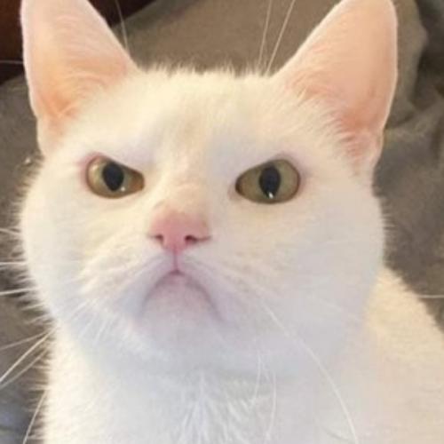 สมาชิกหมายเลข 1967963