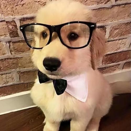 สมาชิกหมายเลข 7218288