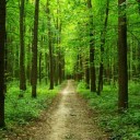 สมาชิกหมายเลข 4320348