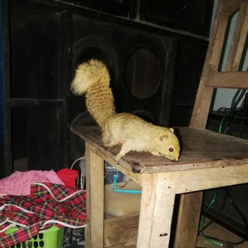 สมาชิกหมายเลข 2844084