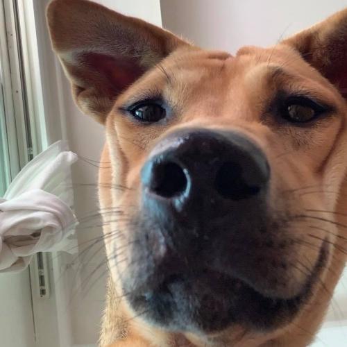 สมาชิกหมายเลข 3327616