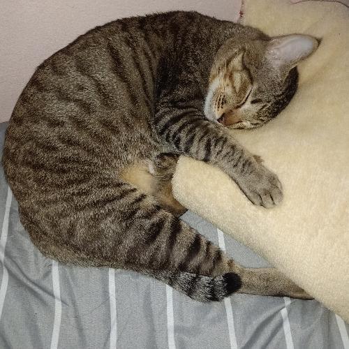 สมาชิกหมายเลข 5477140