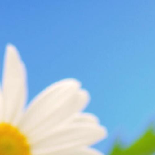 ไม้ขีดไฟก้านยาว