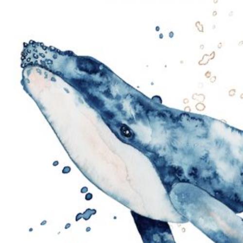 สมาชิกหมายเลข 5818315