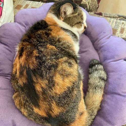 สมาชิกหมายเลข 7317907