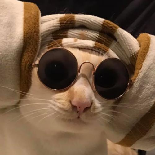 สมาชิกหมายเลข 7318182