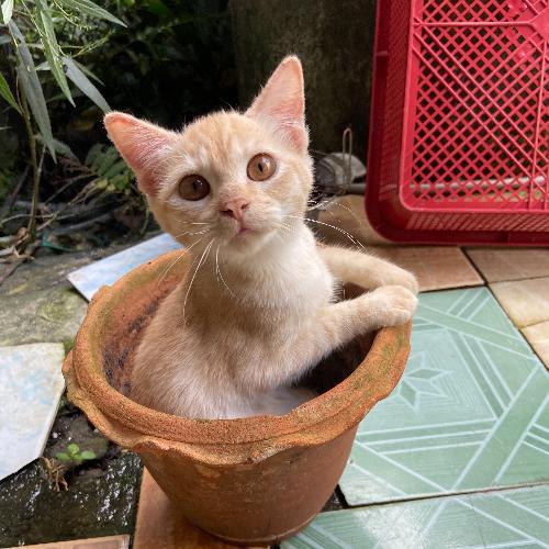 สมาชิกหมายเลข 7318382