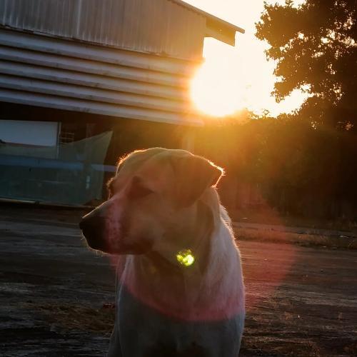 ดีกะฮู้แก่โต ชั่วกะฮู้แก่ใจ