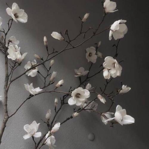 สมาชิกหมายเลข 8094044