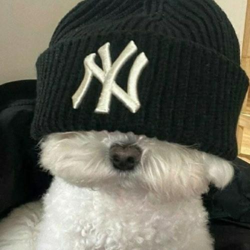 สมาชิกหมายเลข 9192250