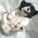 อึ่งอ่าง มันนั่งข้างโอ่ง