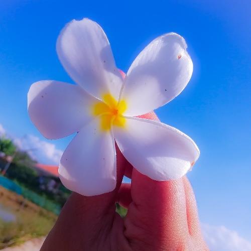 สมาชิกหมายเลข 5060648