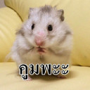 สมาชิกหมายเลข 5060707