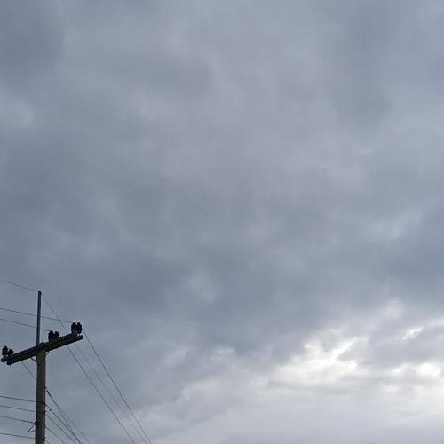 สมาชิกหมายเลข 4762720