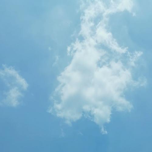 สมาชิกหมายเลข 1081585