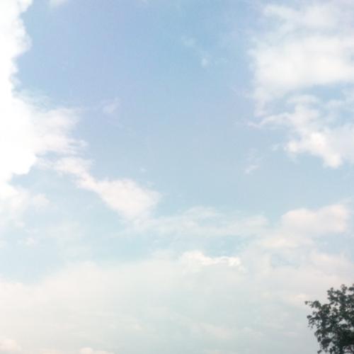 สมาชิกหมายเลข 3120718