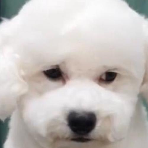 สมาชิกหมายเลข 3515746