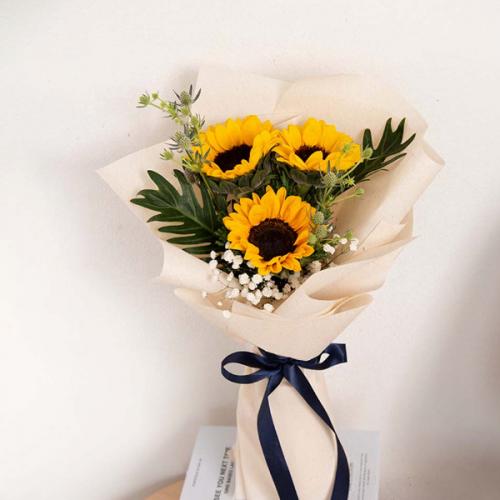 สมาชิกหมายเลข 5001241