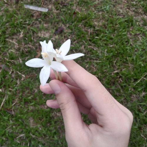 สมาชิกหมายเลข 8461631