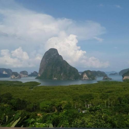 สมาชิกหมายเลข 9195333