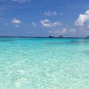 สมาชิกหมายเลข 3359314