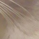 สมาชิกหมายเลข 3608054