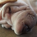 สมาชิกหมายเลข 3845443