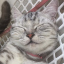 สมาชิกหมายเลข 4694191