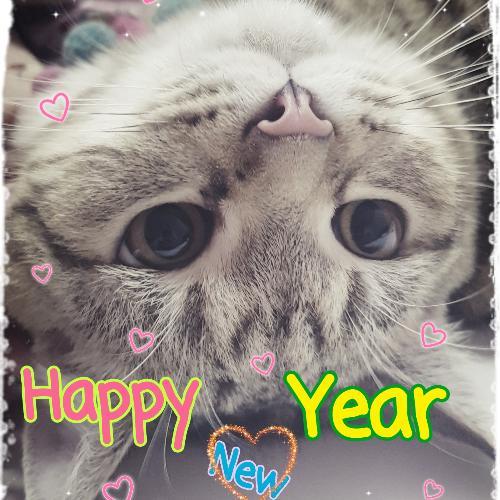 สมาชิกหมายเลข 5060674