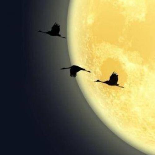 สมาชิกหมายเลข 1739078