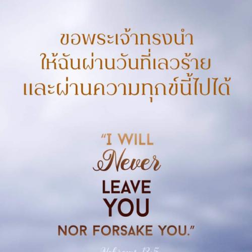 สมาชิกหมายเลข 6585429