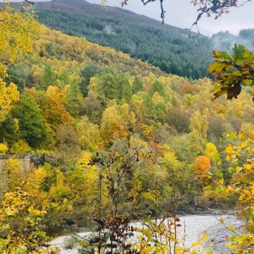 สมาชิกหมายเลข 4150368