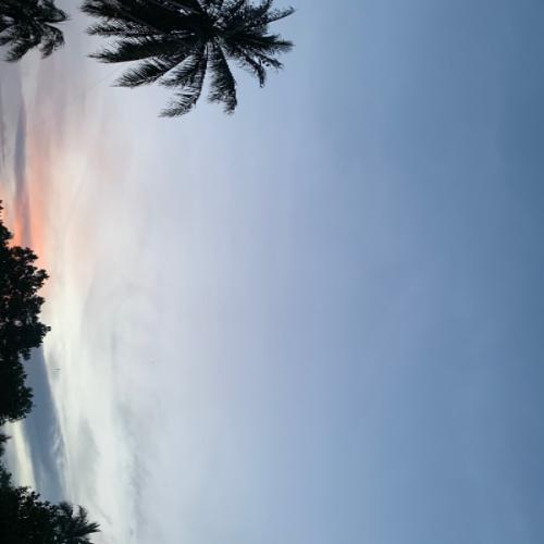 สมาชิกหมายเลข 6696601